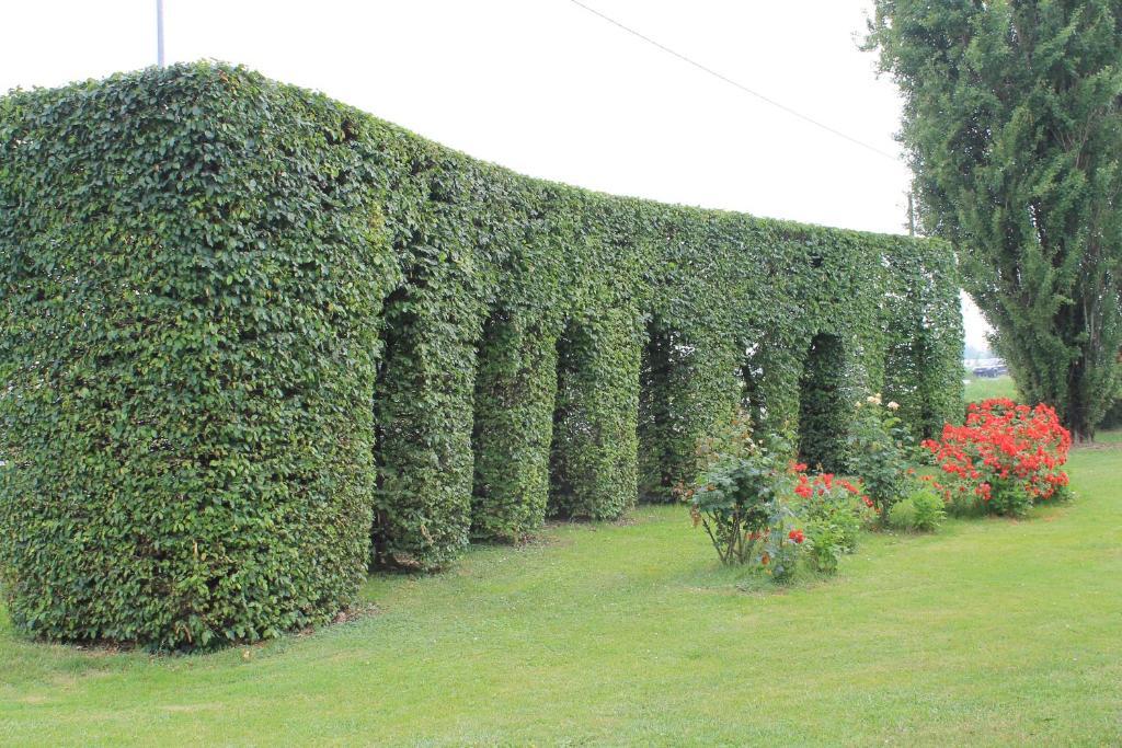 Villa Belvedere 1849 Misano di Gera dʼAdda エクステリア 写真