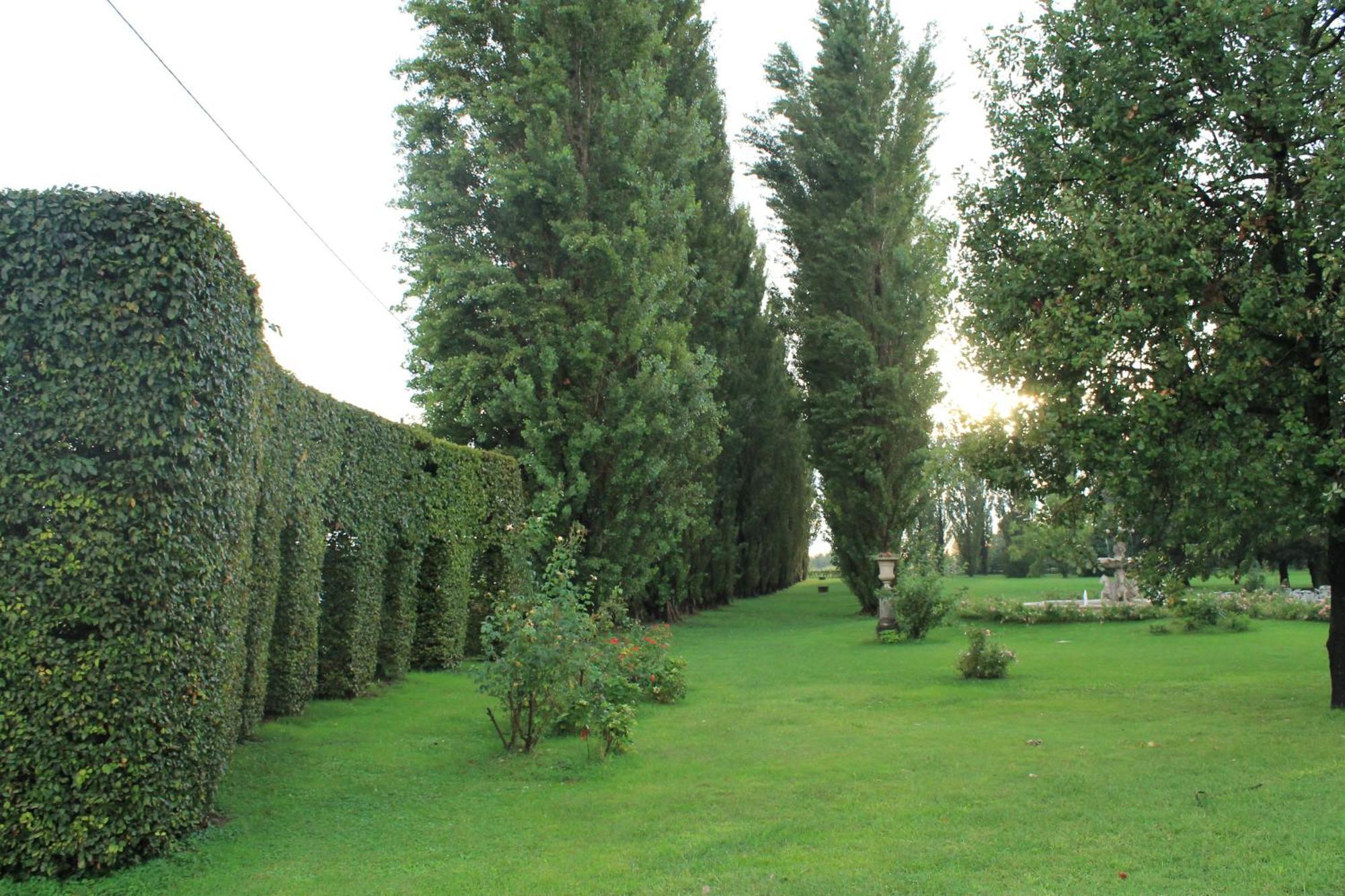 Villa Belvedere 1849 Misano di Gera dʼAdda エクステリア 写真