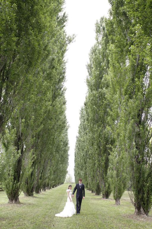 Villa Belvedere 1849 Misano di Gera dʼAdda エクステリア 写真